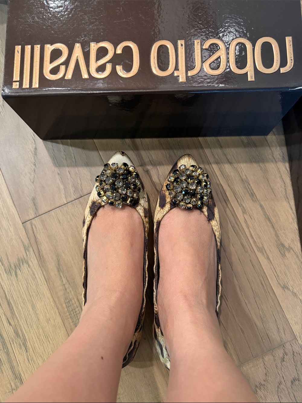 Roberto Cavalli Leopard-Print Pointed Flats with Jeweled Toe - Gold/Black